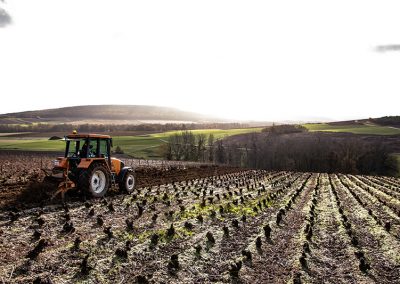 automne champagne goussard