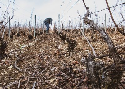 vendanges champagne goussard